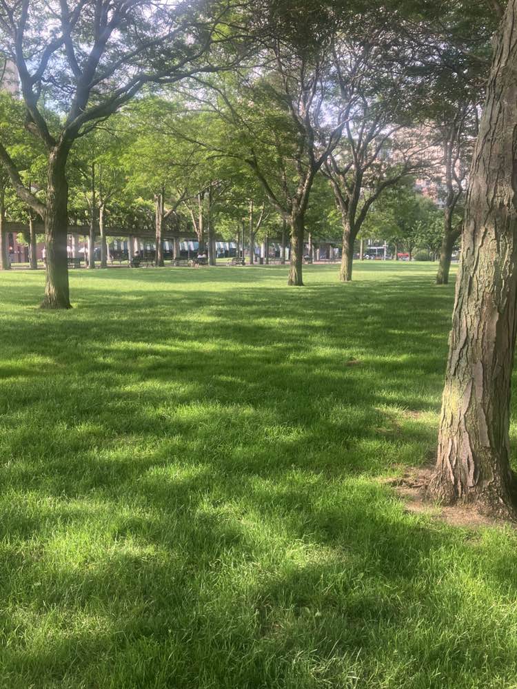 walking near me in Rose Kennedy Greenway in summer