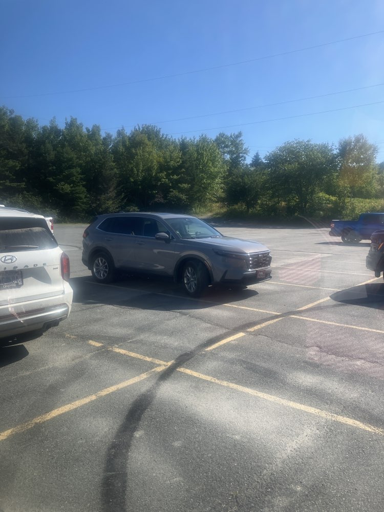 walking near me in Musquodoboit Harbour Peace Park in autumn