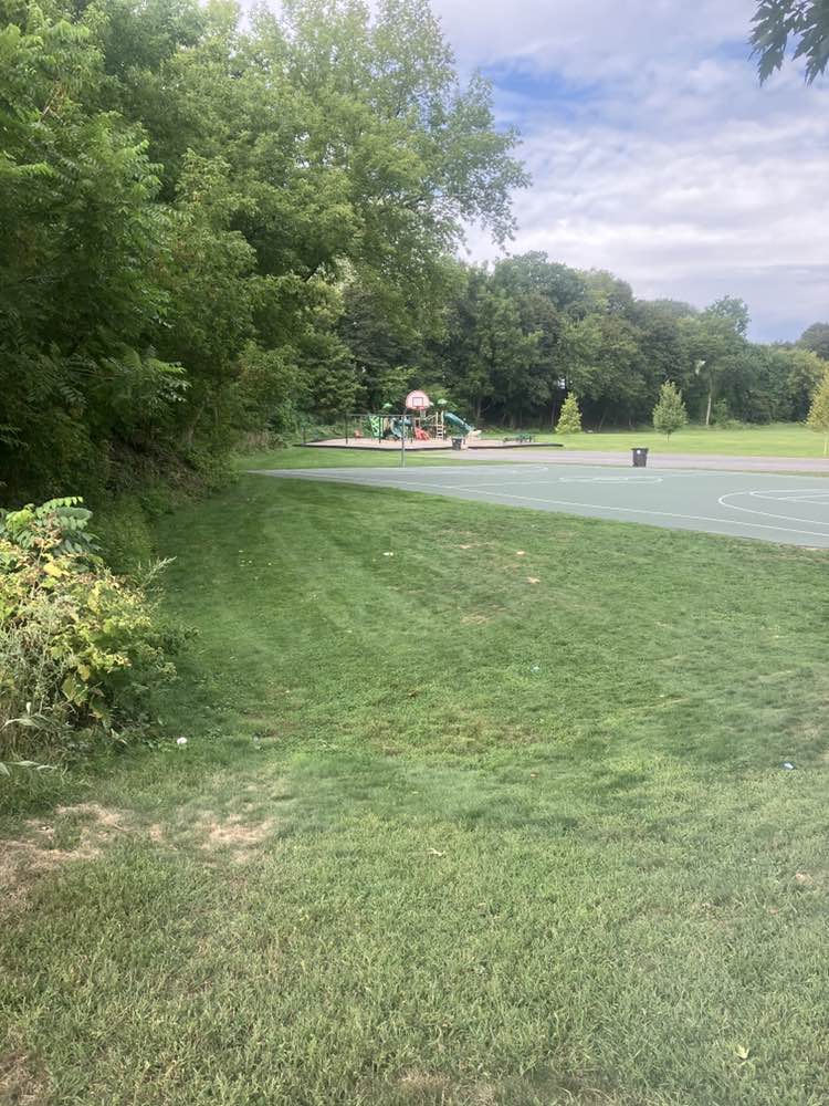 walking near me in Atherton Park in autumn