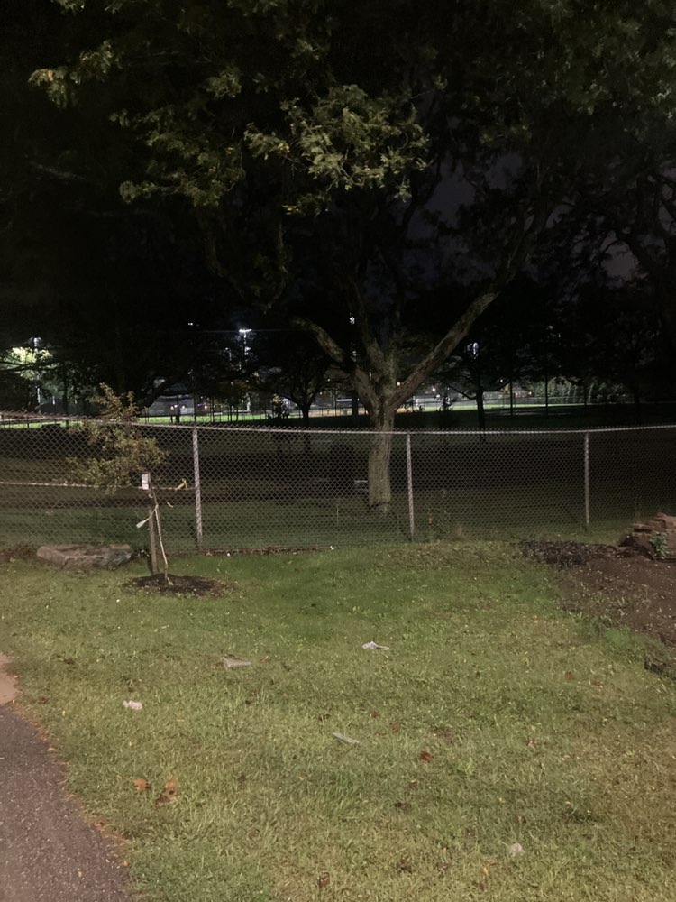 walking near me in Noyes Playground in autumn