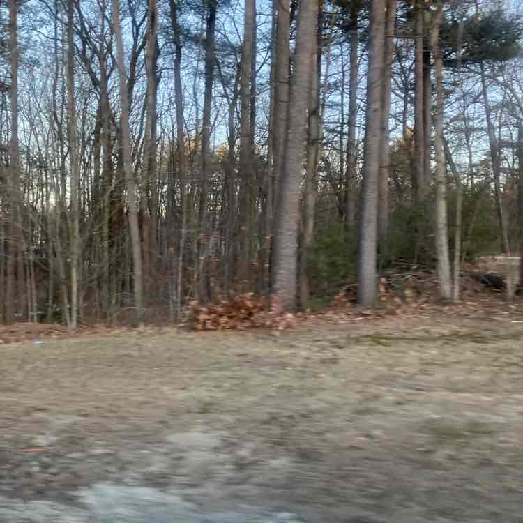 Duchess of the Shire post 1