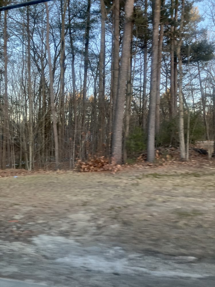 walking near me in Twin Bridge Park in winter