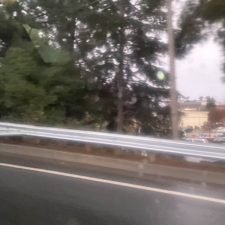 Duchess of the Shire post 1