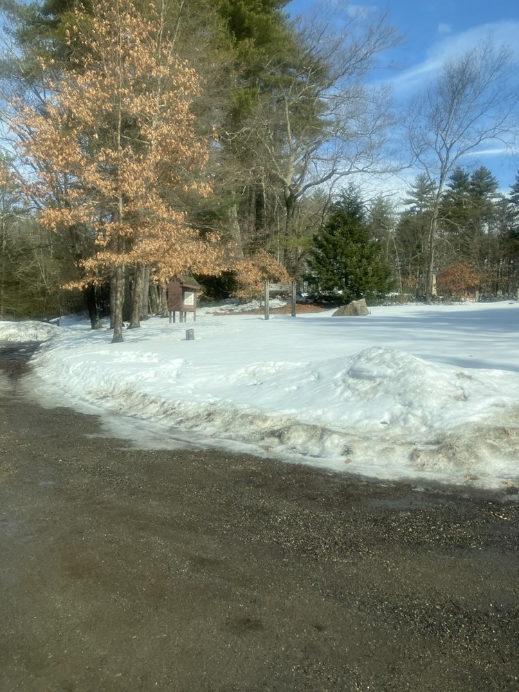 walking near me in Weston Park in spring