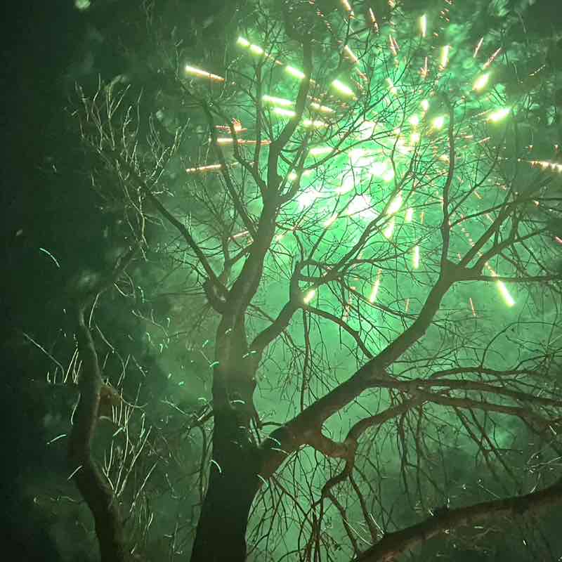 Sachsen-Anhalt Tablettenschubser post image