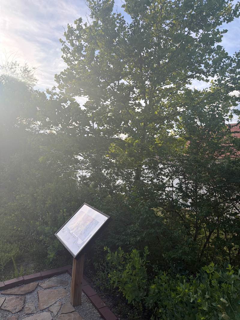 walking near me in Central Park in summer