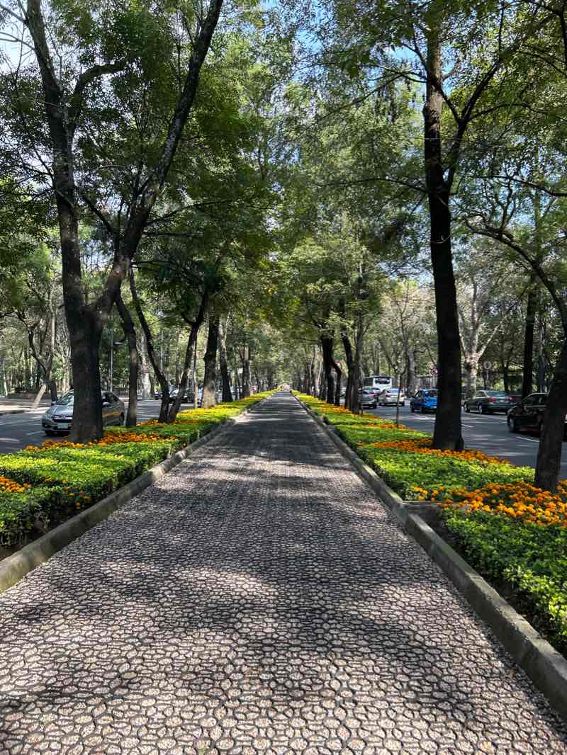 walking near me in Bellas Artes in winter