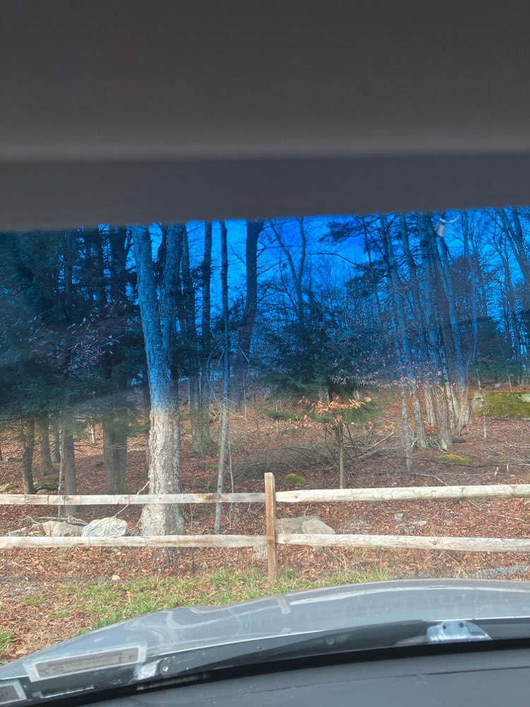 walking near me in Forest Reserve at Smallwood in autumn