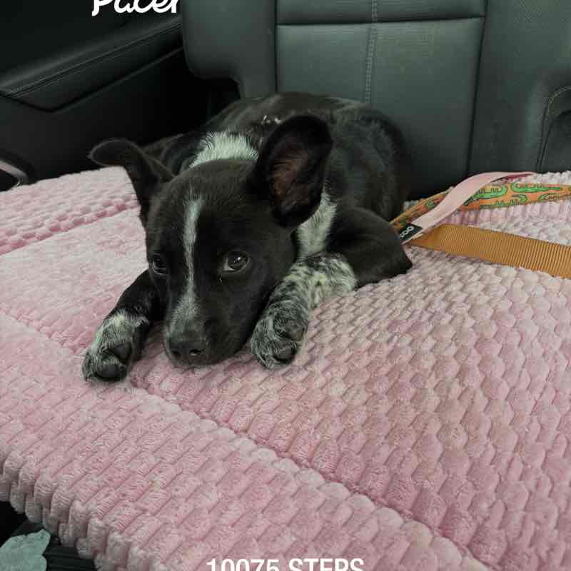 Wendiroo 🙏🌺🇺🇸 post 1