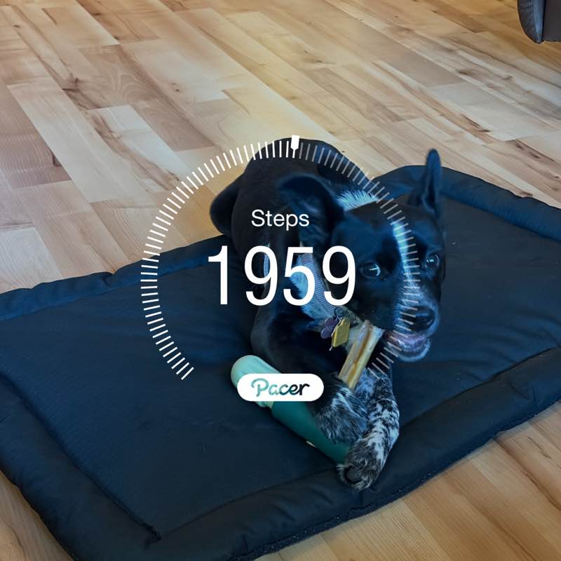 Wendiroo 🙏🌺🇺🇸 post 1