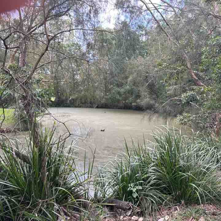 🇦🇺GeePs🇦🇺🥳 post 1