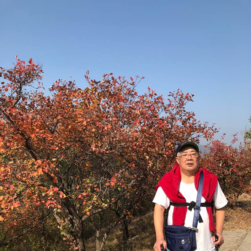 幼清 profile
