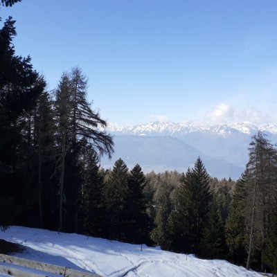 Trento walk and run Paolo post image