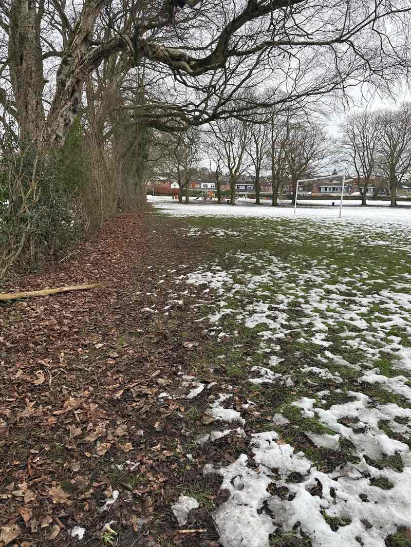 walking near me in Stanningley Park in winter