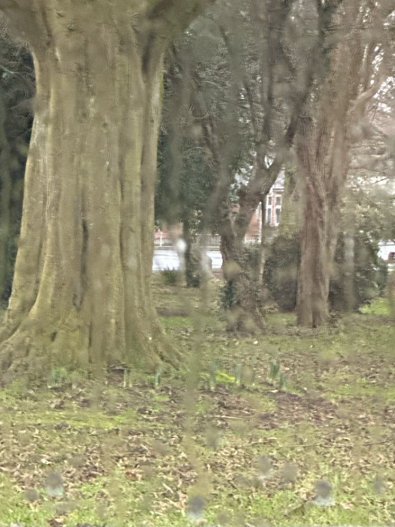 walking near me in Anlaby Park in winter