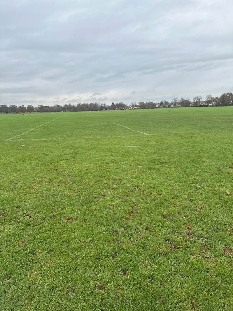 walking near me in The Stray or Two Hundred Acre in autumn