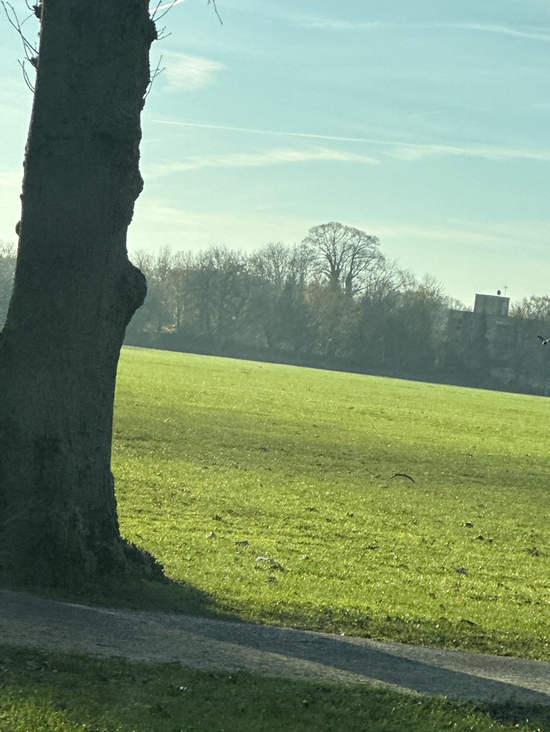 walking near me in The Stray or Two Hundred Acre in autumn