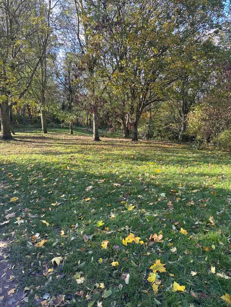 walking near me in Knox Country Park in autumn
