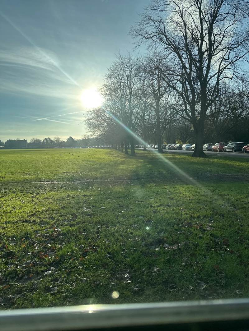 walking near me in The Stray or Two Hundred Acre in autumn