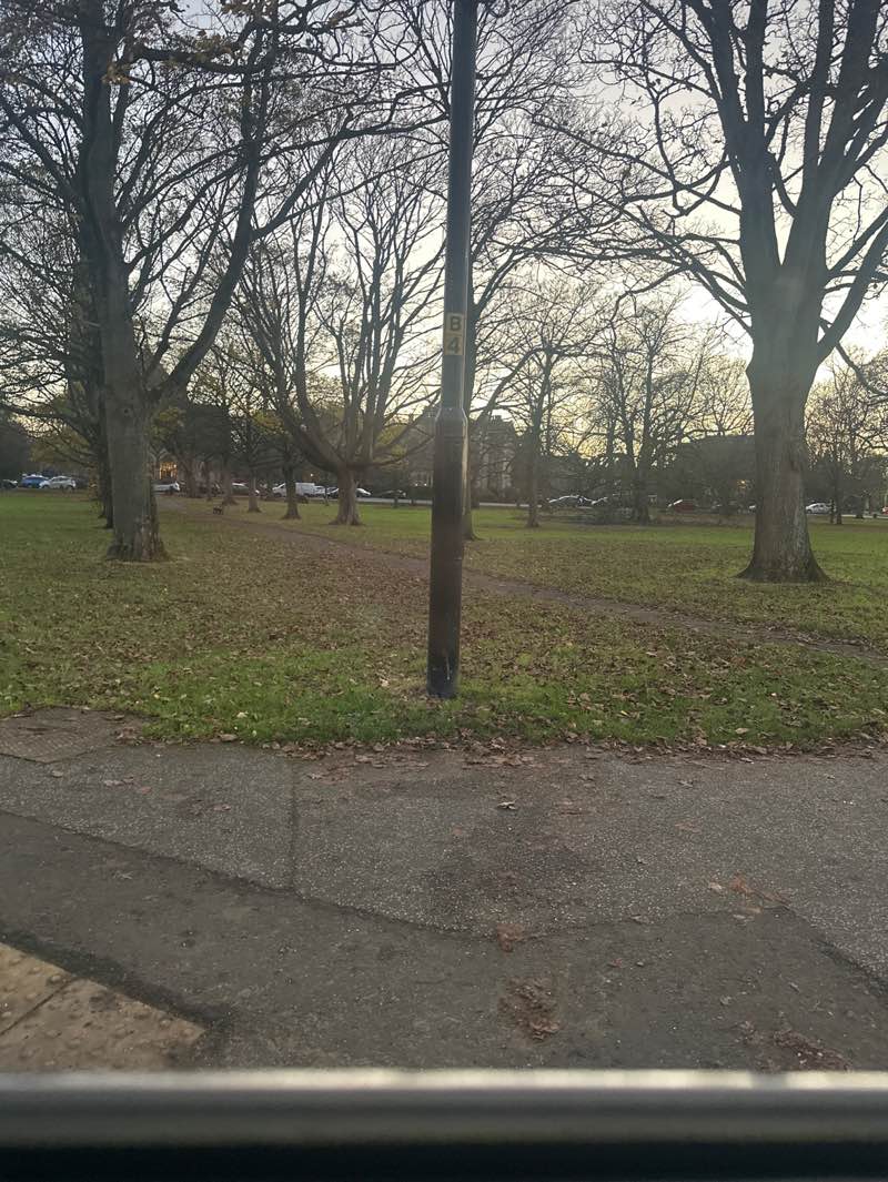 walking near me in Trinity Stray in autumn