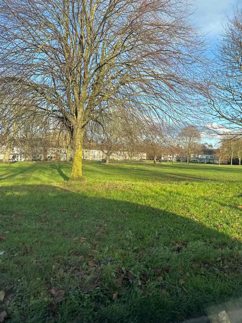 walking near me in The Stray or Two Hundred Acre in autumn