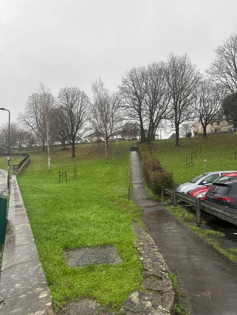 walking near me in Keynsham Memorial Park in winter