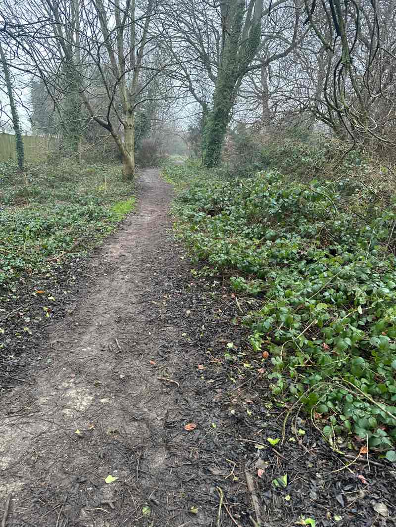 walking near me in Hawksworth Common in winter