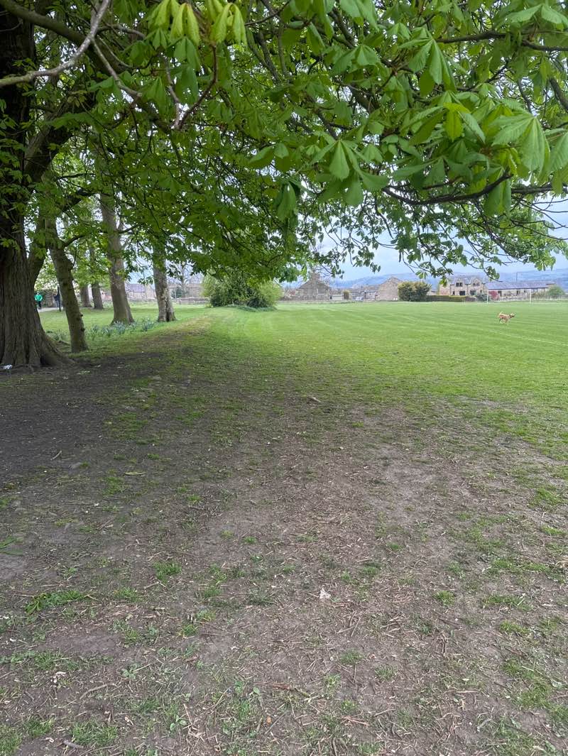 walking near me in Micklefield Park in spring