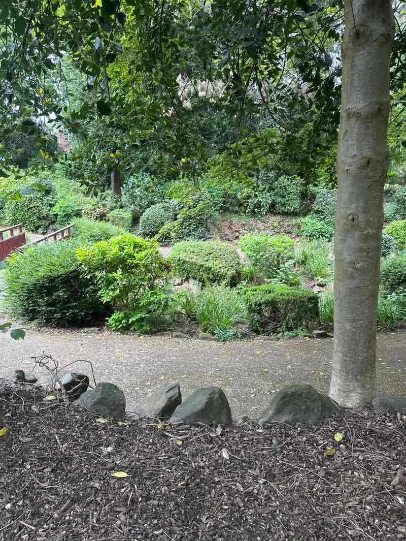 walking near me in Spencers Gardens in spring