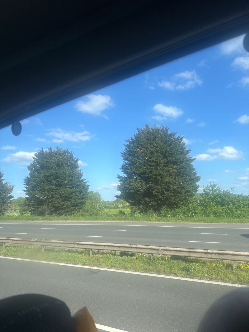 walking near me in Rowan Drive Park in spring