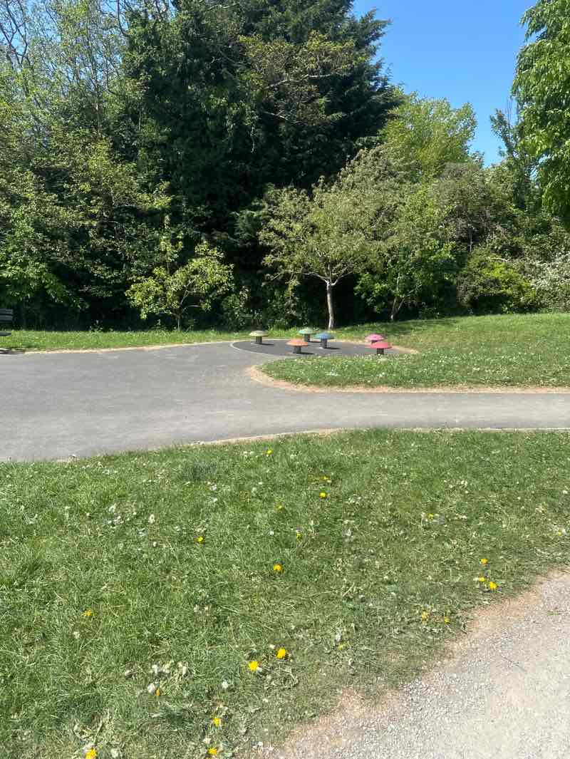 walking near me in Springfield Park in spring