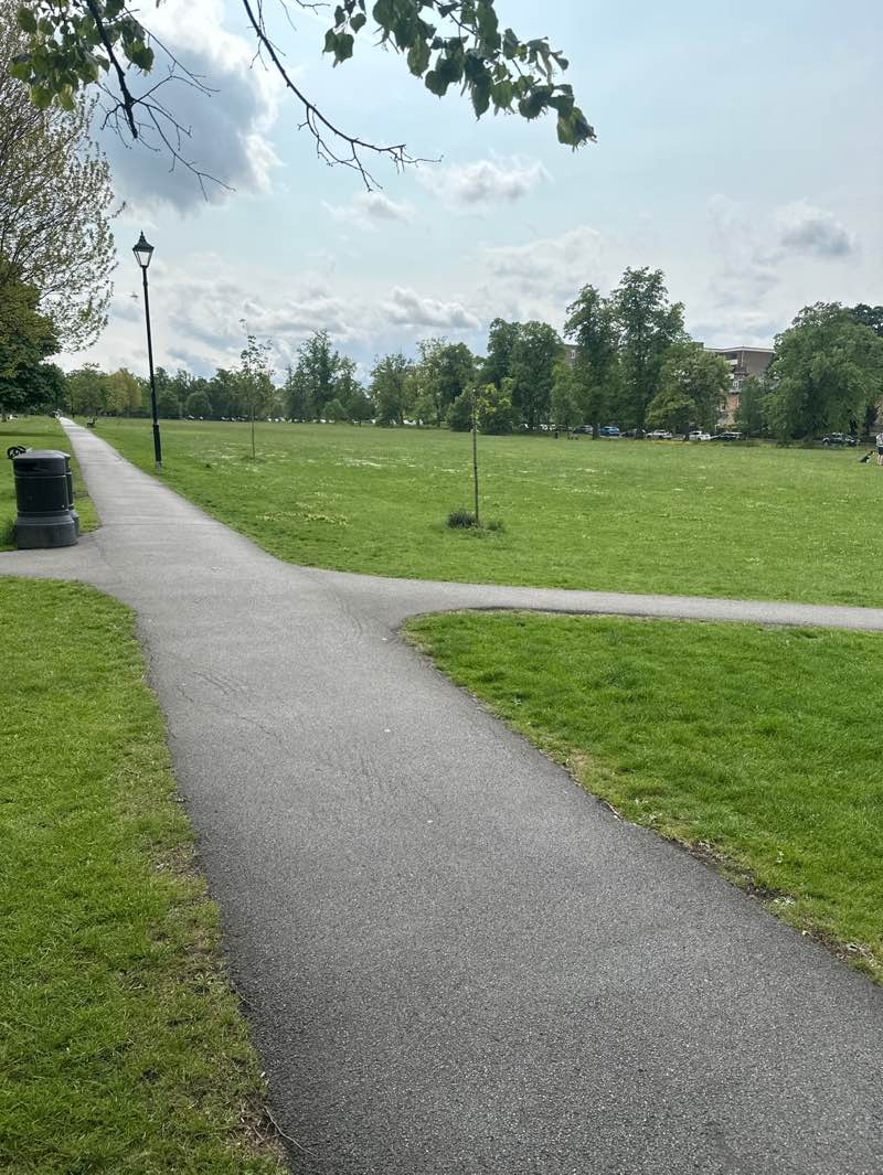 walking near me in The Stray or Two Hundred Acre in spring