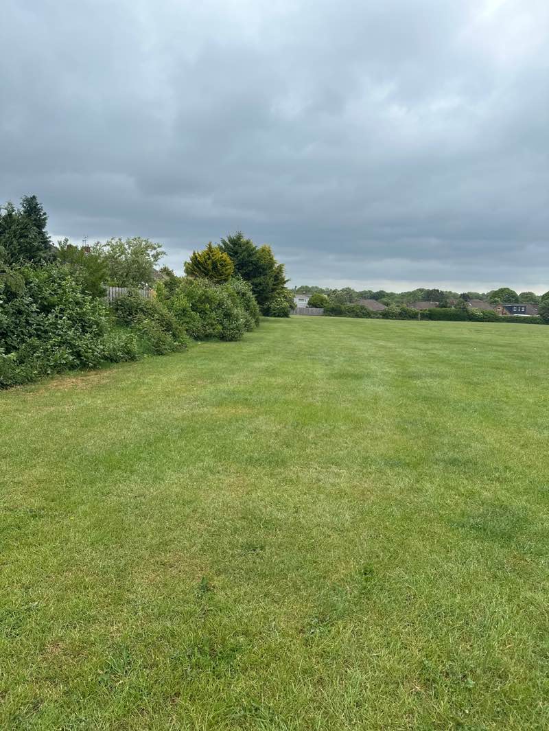 walking near me in Woodfield Park in spring