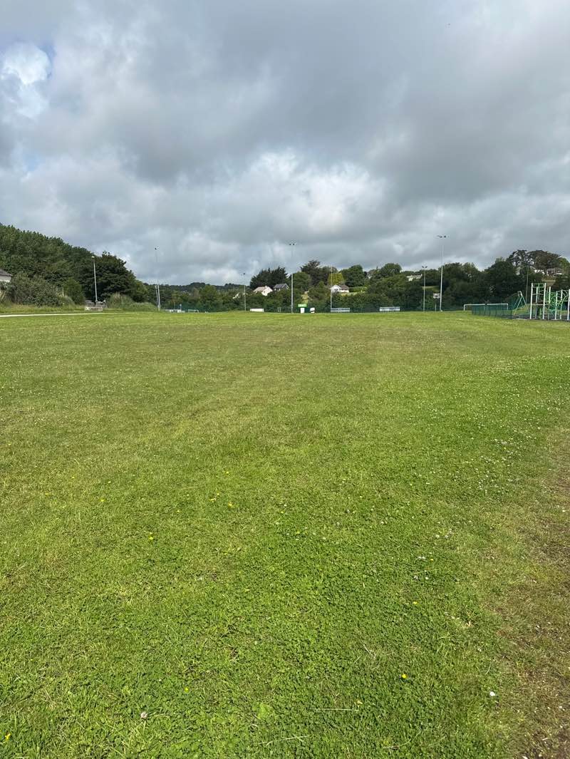 walking near me in Saltmill Park in summer