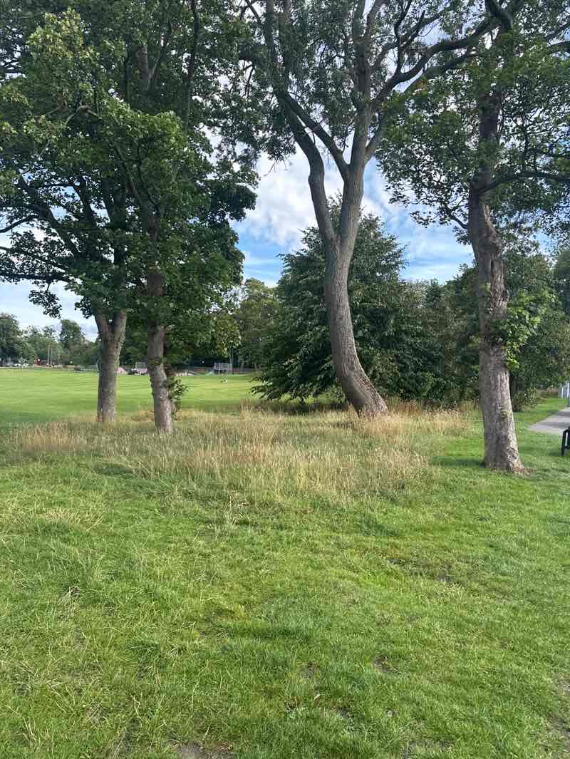 walking near me in Menston Recreation Ground in autumn