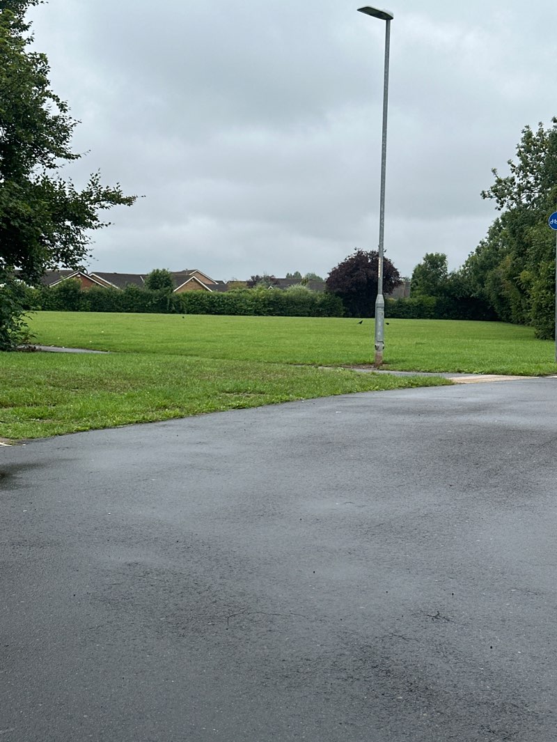 walking near me in Back Field in autumn