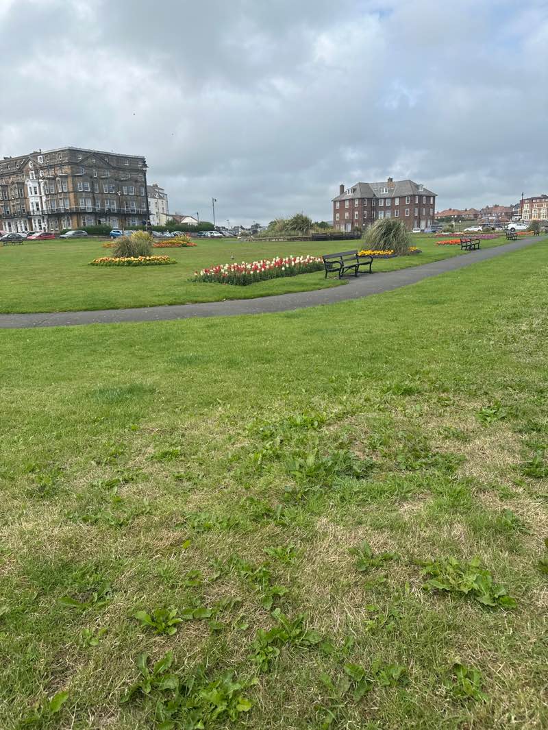 walking near me in Crescent Gardens in autumn