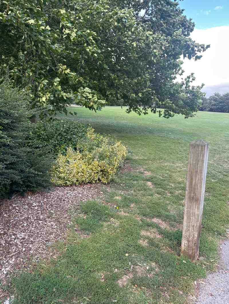 walking near me in Belmont Park in autumn