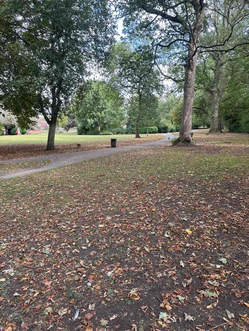 walking near me in Kirk Lane Park in autumn
