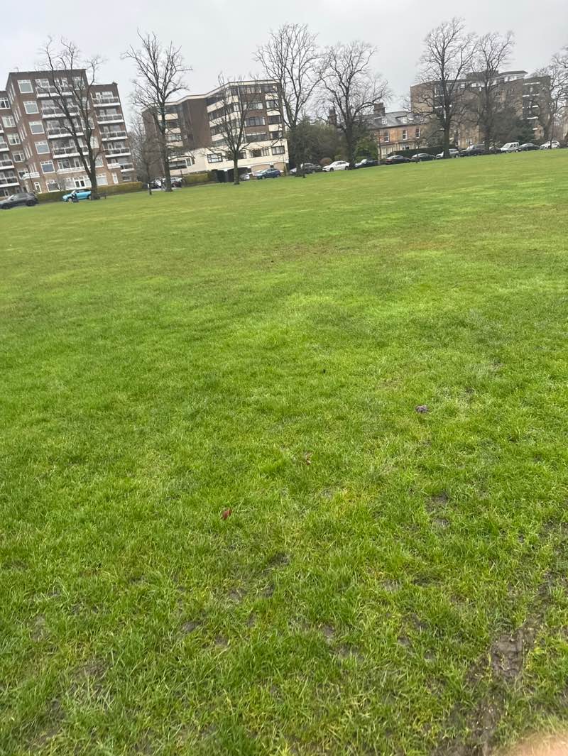 walking near me in The Stray or Two Hundred Acre in winter