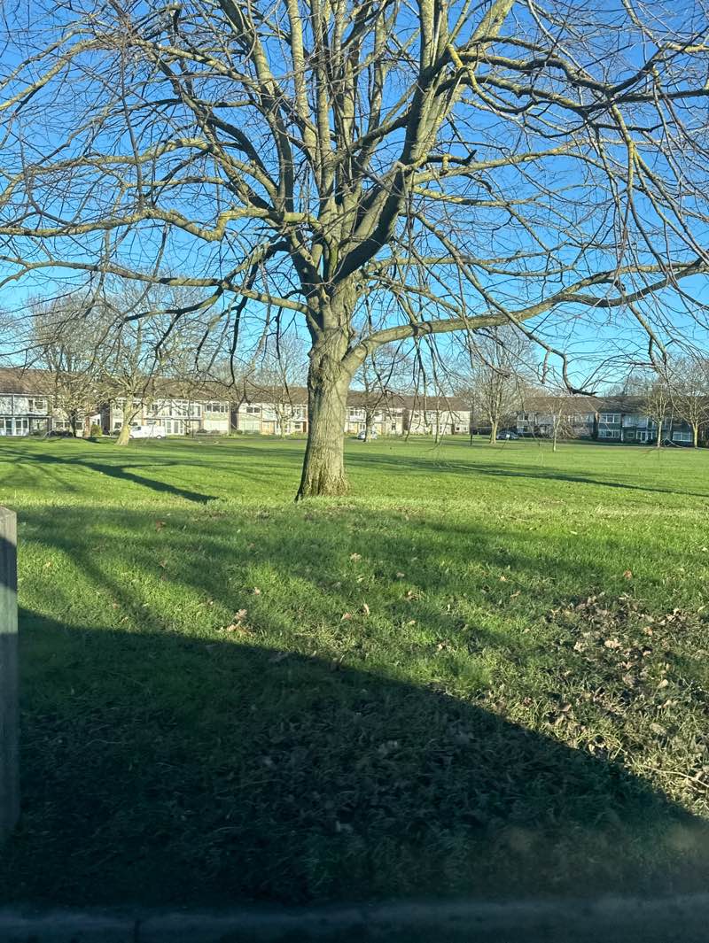 walking near me in The Stray or Two Hundred Acre in winter