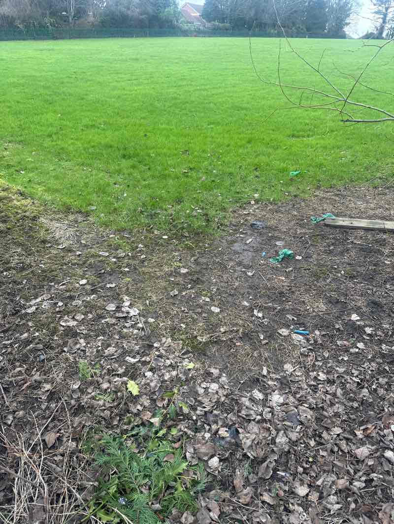 walking near me in Hillbank Park in winter