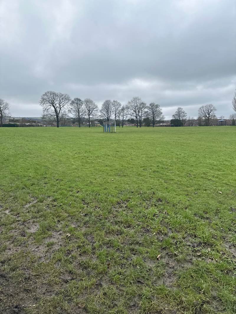 walking near me in Mortomley Park in winter