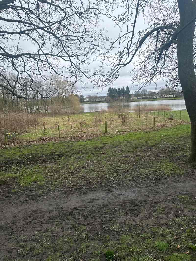 walking near me in Yeadon Tarnfield Park in spring