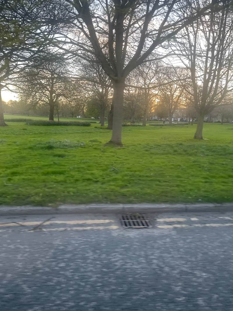 walking near me in The Stray or Two Hundred Acre in spring