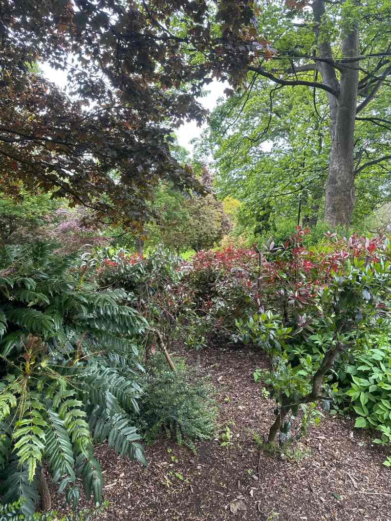walking near me in Prospect Square in spring