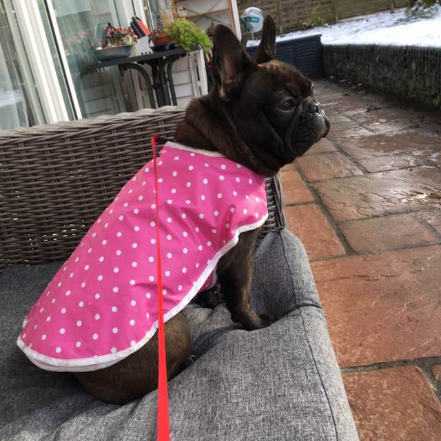 mobil bleiben 🤸🏼‍♂️ post 1