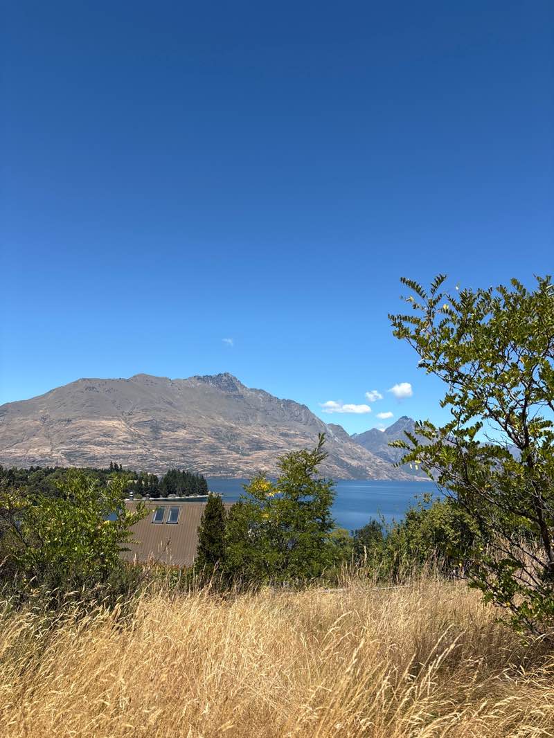 walking near me in Paddy Burton Memorial Park in summer