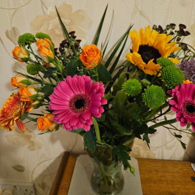 🏊‍♀️🚶‍♀️Sue🚶‍♀️🏊‍♀️ post 1