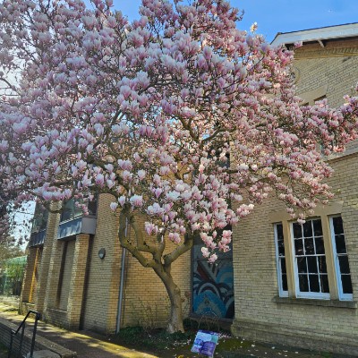 🏊‍♀️🚶‍♀️Sue🚶‍♀️🏊‍♀️ post 1